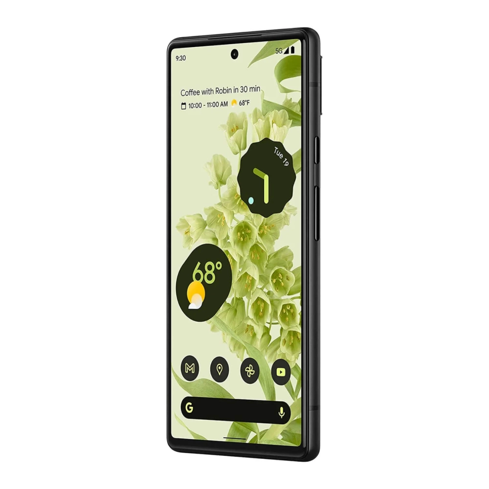 Google Pixel 6 Gallery Image